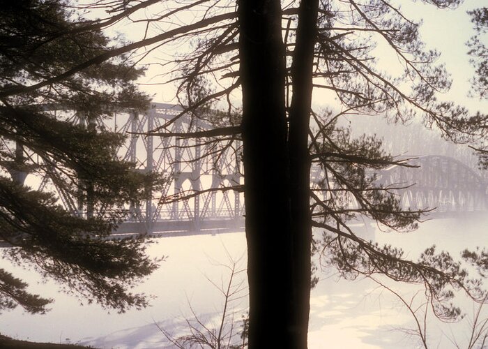 Bridge Greeting Card featuring the photograph Bridge in the Fog by Mark Dodd