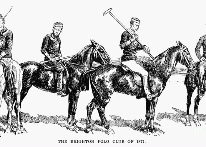 1877 Greeting Card featuring the photograph Brighton Polo Club, 1877 by Granger