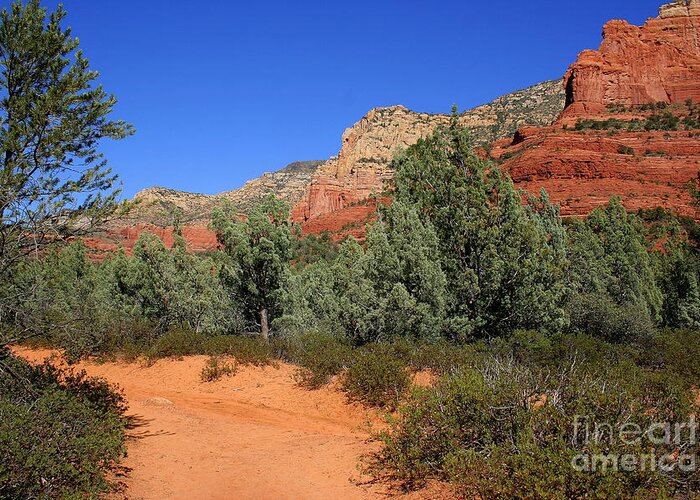 Sedona Greeting Card featuring the photograph Brins Path by Julie Lueders 