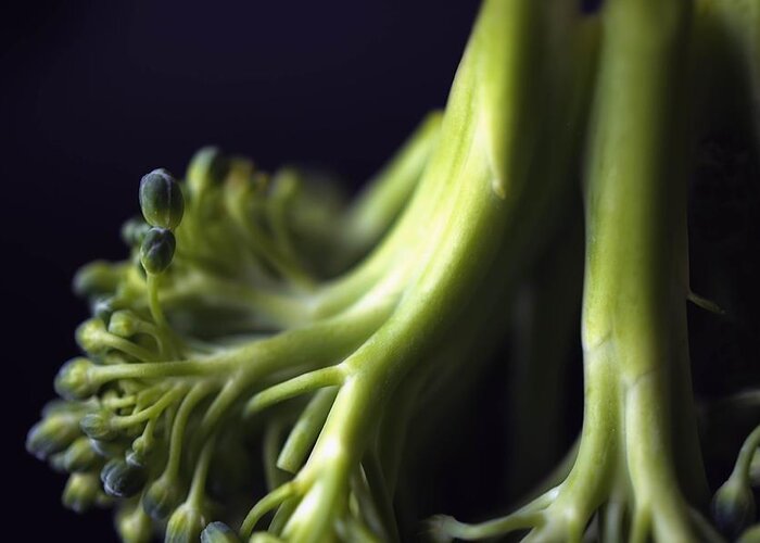 Broccoli Greeting Card featuring the photograph Broccoli by Jenny Hudson