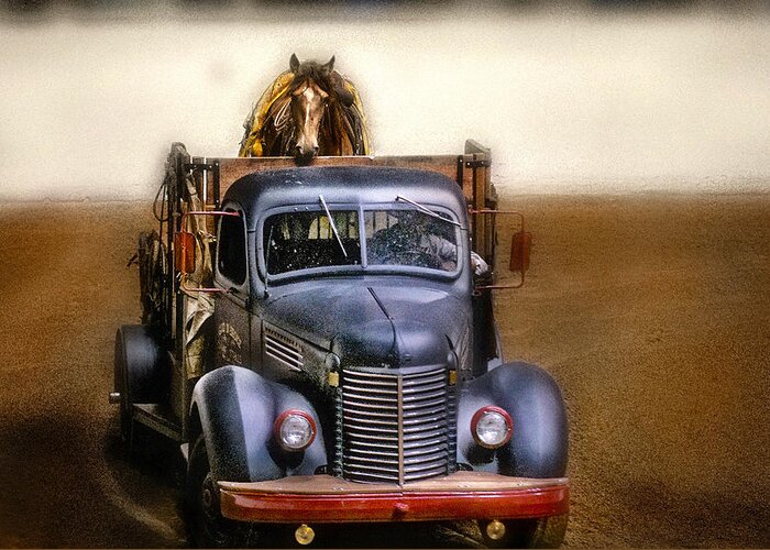 Horse Greeting Card featuring the photograph Broke To Ride by Pamela Steege