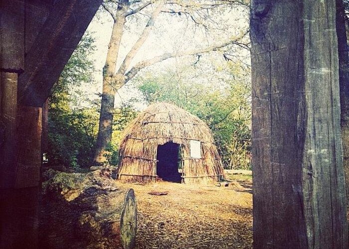 Mobilephotography Greeting Card featuring the photograph Brooklyn Wigwam by Natasha Marco