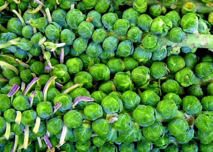 Brussel Sprouts Greeting Card featuring the photograph Brussel Sprouts On Stalk by Jeff Lowe
