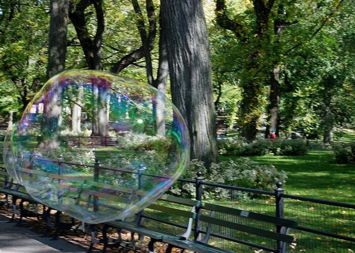 Black And White Greeting Card featuring the photograph BUBBLE in the PARK by Rob Hans