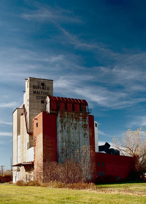 Buffalo Greeting Card featuring the photograph Buffalo Malting Corp 3414c by Guy Whiteley
