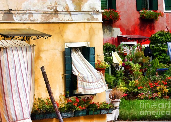 Window Greeting Card featuring the photograph Burano Windows by Xine Segalas