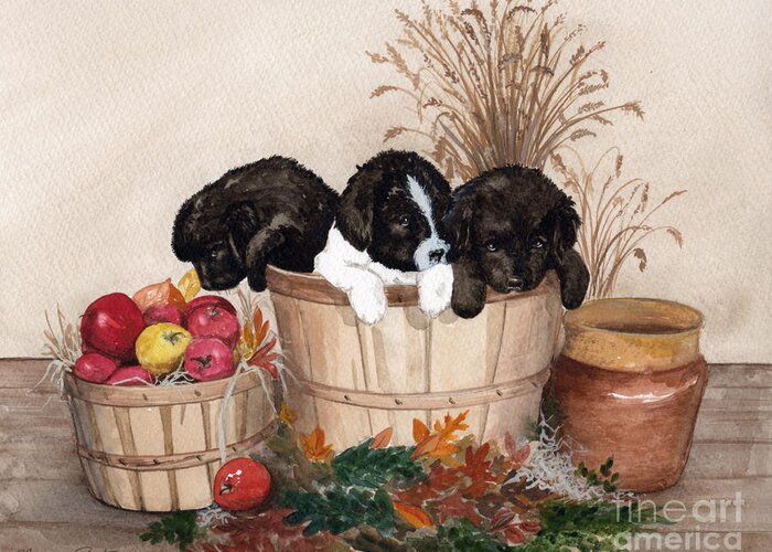 Newfoundland Puppies Greeting Card featuring the painting Bushel of Fun by Nancy Patterson