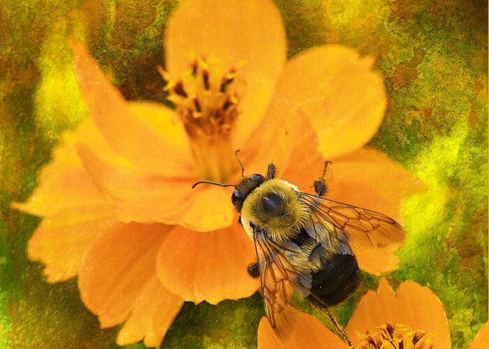 J Larry Walker Greeting Card featuring the digital art Buzzy The Honey Bee by J Larry Walker