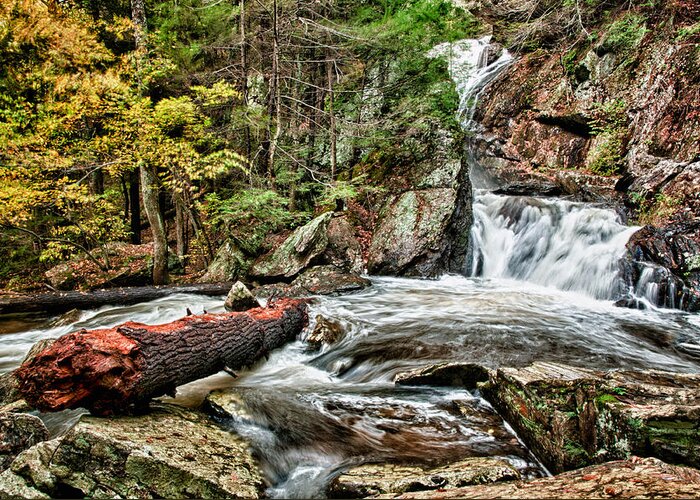 Landscape Greeting Card featuring the photograph Campbell Falls by Fred LeBlanc