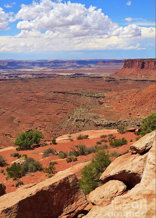Canyonlands Greeting Card featuring the photograph Candlestick Tower Overlook Canyonlands National Park by Louise Heusinkveld