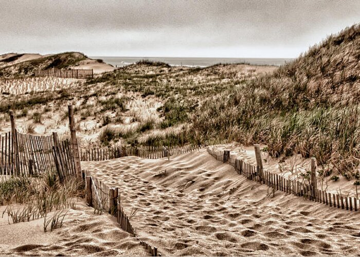 Dunes Greeting Card featuring the photograph Cape Cod Dunes by Fred LeBlanc