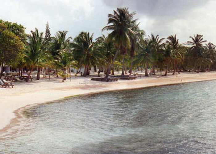 Tropical Photographs Greeting Card featuring the photograph Carribean Shore by C Sitton