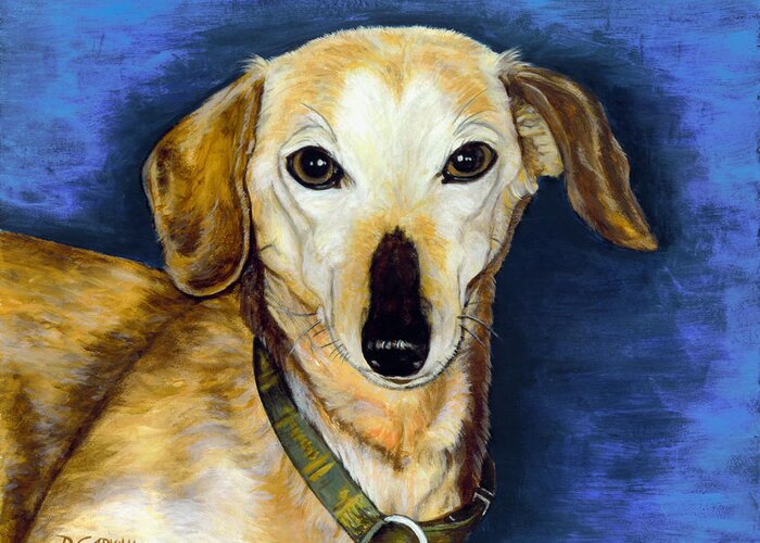 Dogs Greeting Card featuring the painting Casey by Daniel Carvalho