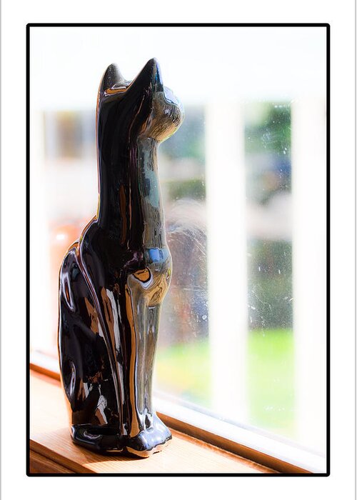 Ceramic Cat Greeting Card featuring the photograph Cat At The Window by Marie Jamieson