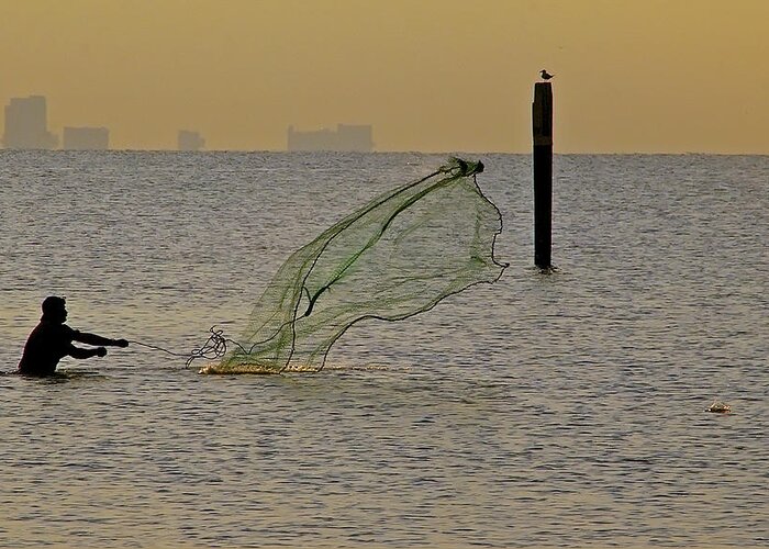 Net Greeting Card featuring the photograph Catchin' bait by Brian Wright