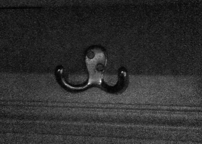 Summer Greeting Card featuring the photograph Caution Drunk Octopus Looking For A by Matt Perkins