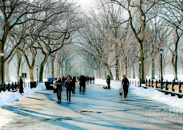 Nyc Greeting Card featuring the photograph Central park in winter by Ken Marsh