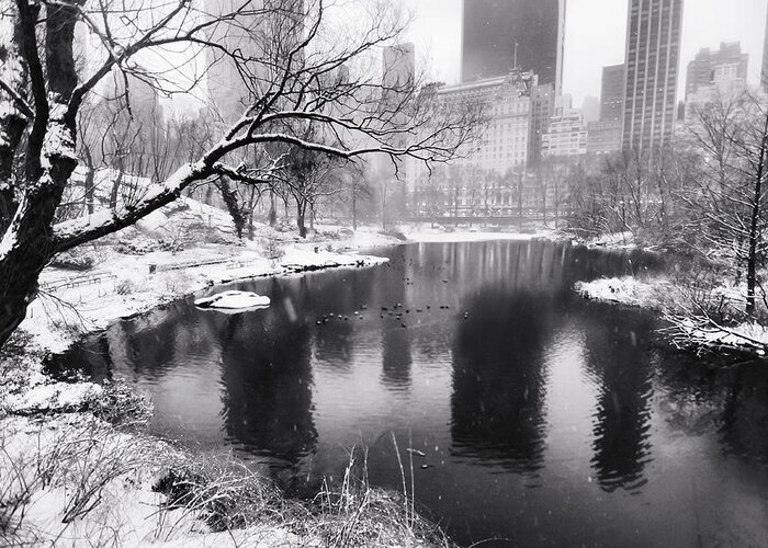 Central Park Greeting Card featuring the photograph Central Park Snow by Vicki Jauron