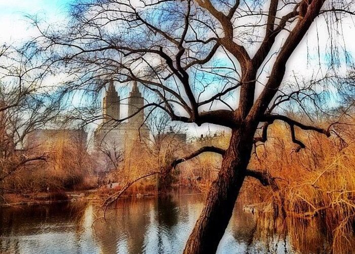 Building Greeting Card featuring the photograph #centralpark #park #outdoor #nature #ny by Joel Lopez
