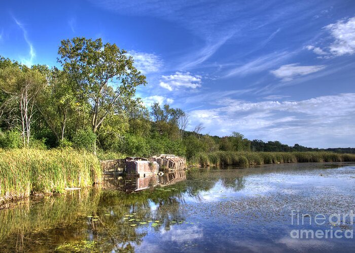 Swamp Greeting Card featuring the photograph Clouds in the water by Dejan Jovanovic