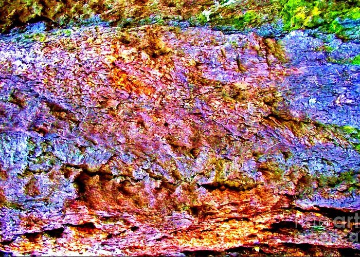 Tree Bark Canvas Print Greeting Card featuring the photograph Color My World by Jayne Kerr 