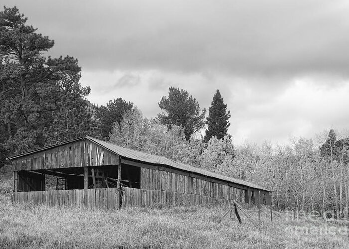 Barn Greeting Card featuring the photograph Colorado Rustic Autumn High Country Barn BW by James BO Insogna