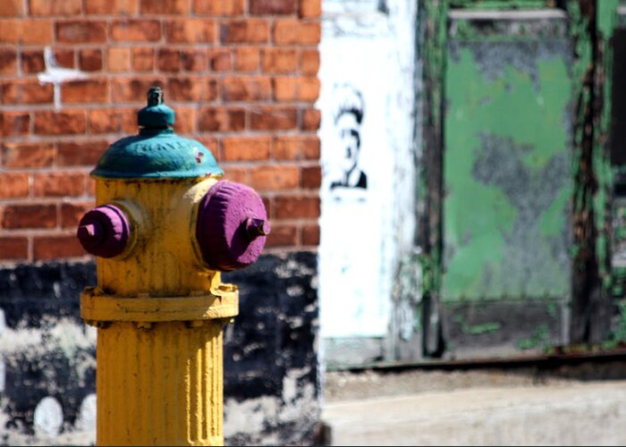  Greeting Card featuring the photograph Colorful Hydrant by Mark J Seefeldt