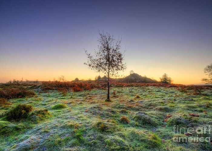 Hdr Greeting Card featuring the photograph Colours Of Dawn by Yhun Suarez
