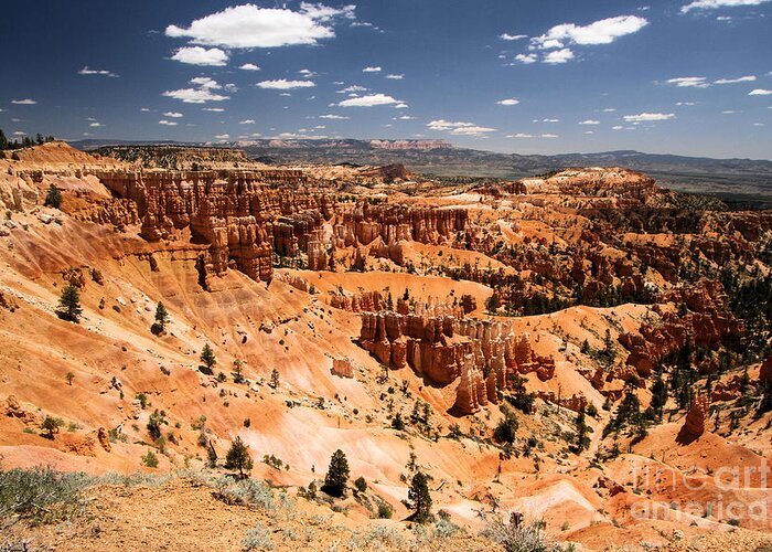Bryce Canyon National Park Greeting Card featuring the photograph Concert Time by Adam Jewell