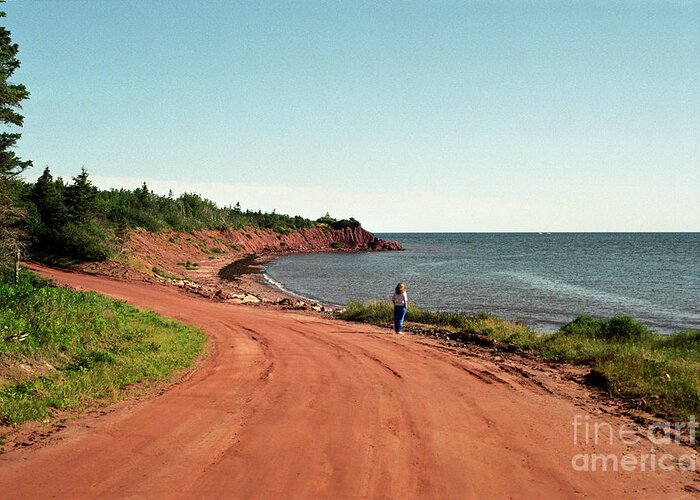 Prince Edward Island Greeting Card featuring the photograph Contemplation by Kathy McClure