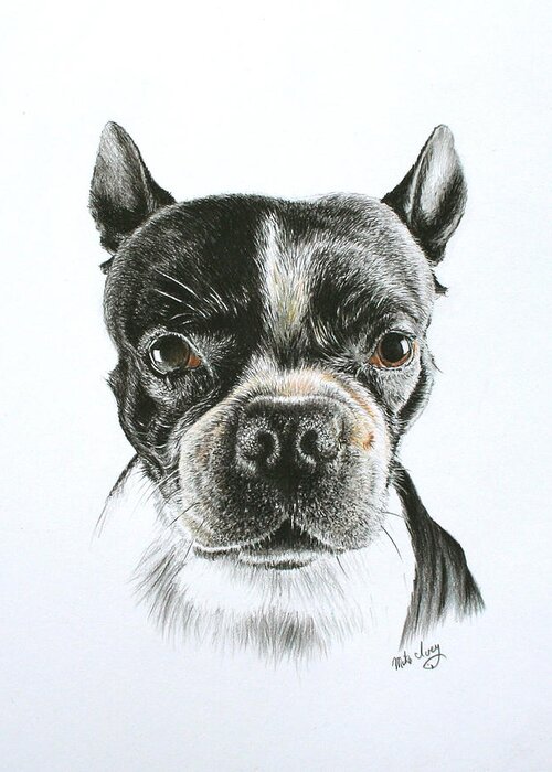 Portraits Greeting Card featuring the drawing Cooper by Mike Ivey