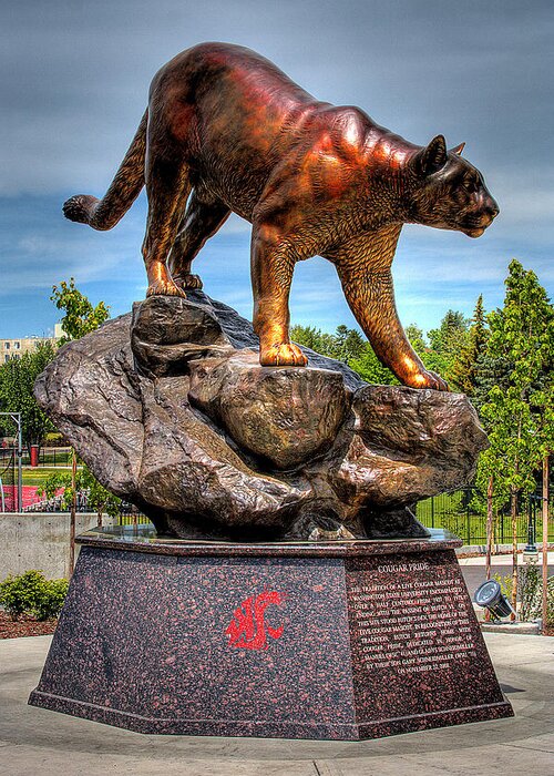 Washington State University Greeting Card featuring the photograph Cougar Pride II by David Patterson