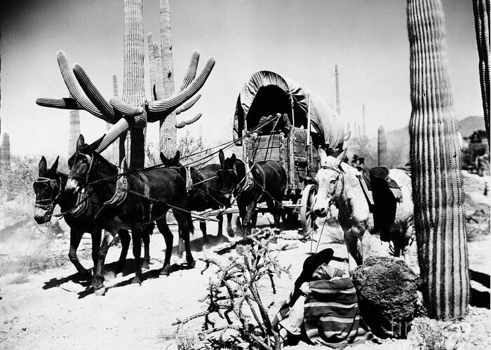 1930s Greeting Card featuring the photograph Covered Wagon by Granger