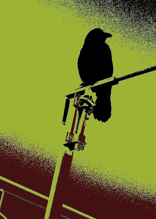 Crow Greeting Card featuring the photograph Cuervo by Erik Sandoval