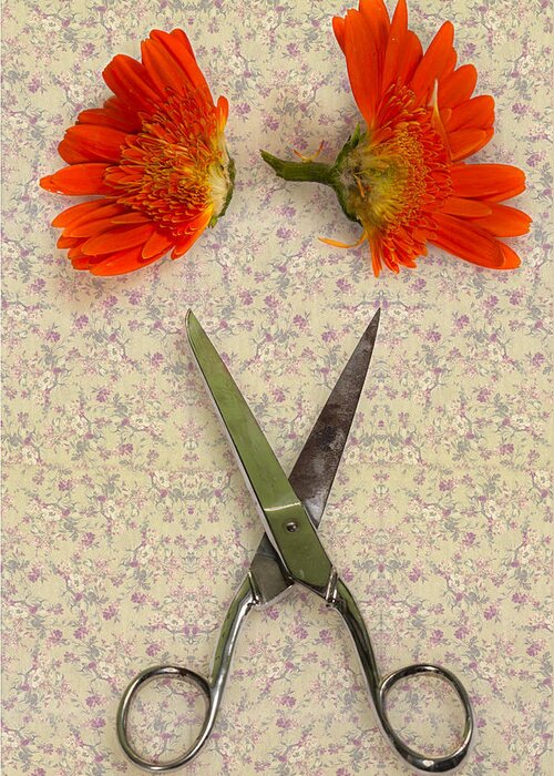 Scissors Greeting Card featuring the photograph Cutting Flowers by Joana Kruse