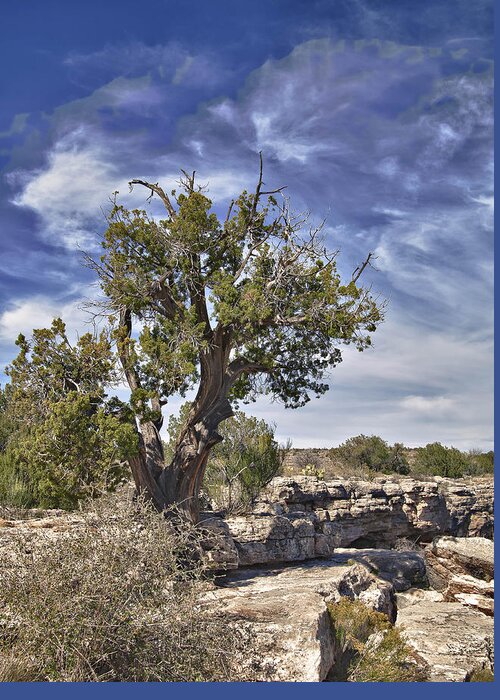 Cyprus Greeting Card featuring the photograph Cyprus at Montezuma's Well by Forest Alan Lee