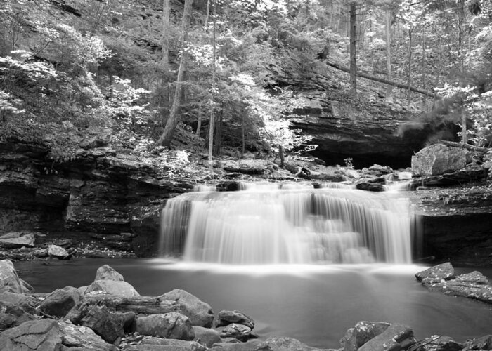 Waterfall Greeting Card featuring the photograph Dainty Waterfall by David Troxel