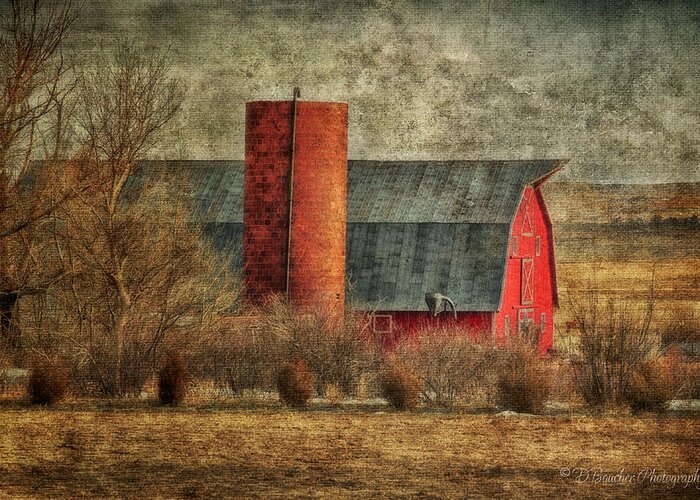 Dairy Greeting Card featuring the photograph Dairy Farm by Debra Boucher