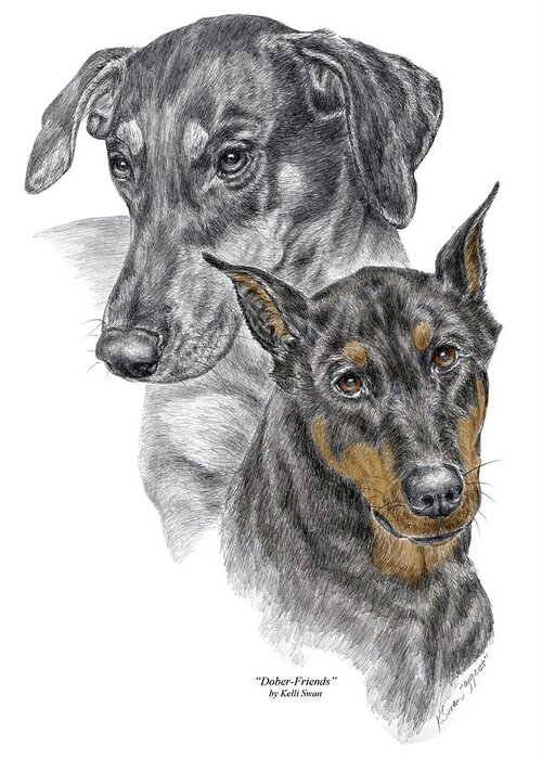 Doberman Greeting Card featuring the drawing Dober-Friends - Doberman Pinscher Portrait color tinted by Kelli Swan