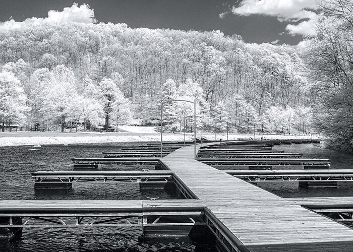 Infrared Greeting Card featuring the photograph Dock in infrared by Mary Almond