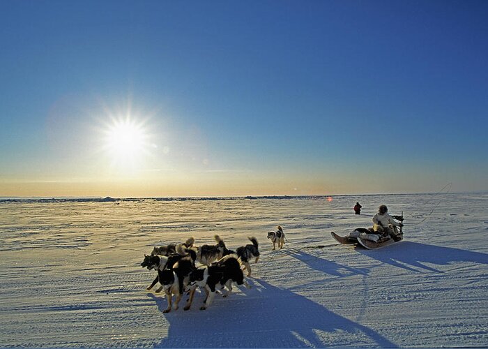 Light Greeting Card featuring the photograph Dogsledding In Grise Fiord, Nunavut by Robert Postma
