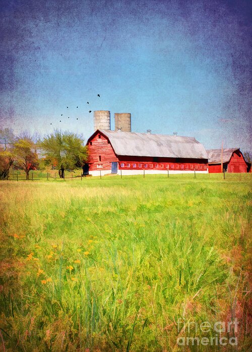 Agriculture Greeting Card featuring the photograph Down on the farm in Bardstown by Darren Fisher