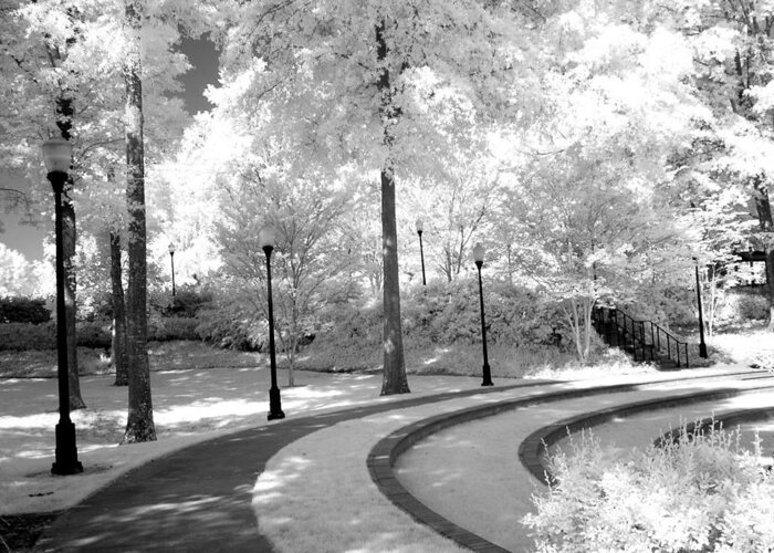 Infrared Art Prints Greeting Card featuring the photograph Dreamy Black White Infrared Nature Landscape by Kathy Fornal