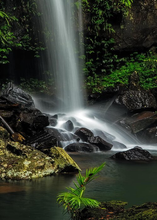 Curtis Falls Greeting Card featuring the photograph Droplets of Life by Mark Lucey