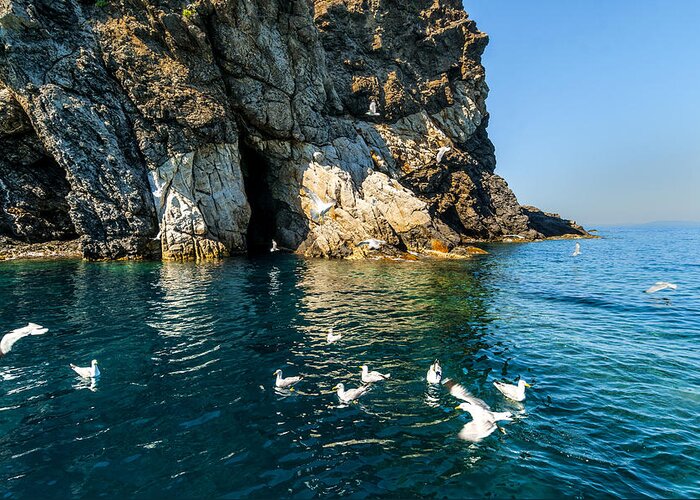 Isola D'elba Greeting Card featuring the photograph ELBA ISLAND - Seagulls coast 3 - - Costa dei Gabbiani 3 - ph Enrico Pelos by Enrico Pelos