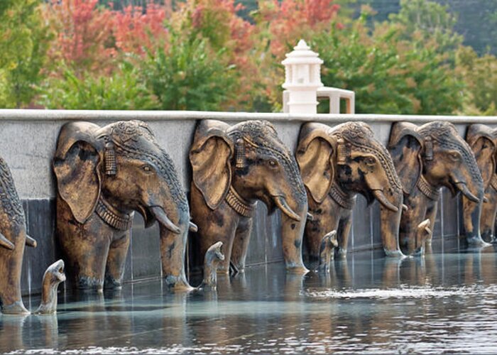 Elephants Greeting Card featuring the photograph Elephants of the Mandir by Angie Schutt