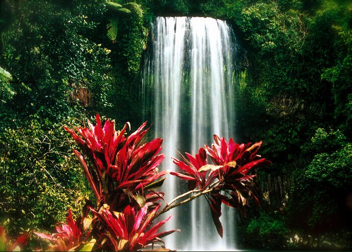 Waterfall Greeting Card featuring the photograph Elixir of LIfe by HweeYen Ong