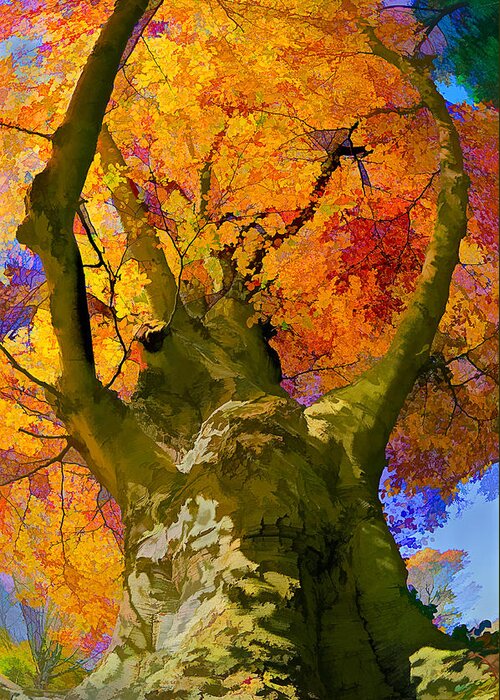 Tree Greeting Card featuring the photograph Embracing the color by Steve Zimic