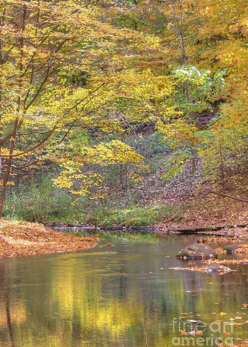 Fall Greeting Card featuring the photograph Emerald Creek by Robert Pearson
