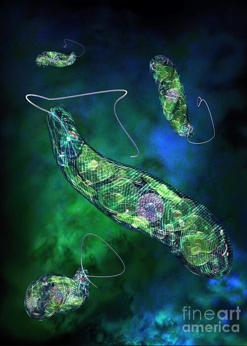 Biological Greeting Card featuring the digital art Euglena Blue by Russell Kightley